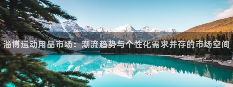 风速体育官方正版app集团：淄博运动用品市场：潮流趋