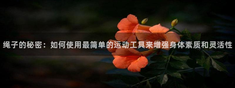 风速体育官方正版app集团官网网址：绳子的秘密：如何