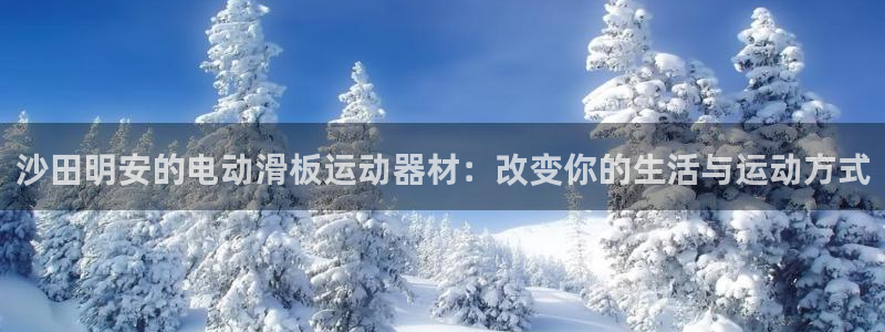风速体育官网下载：沙田明安的电动滑板运动器材：改变你
