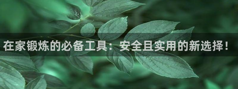 风速体育官网下载软件：在家锻炼的必备工具：安全且实用的新选择