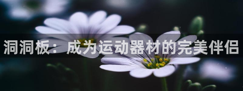 风速体育官方正版app集团E.ON：洞洞板：成为运动器材的完