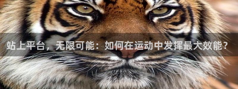风速体育官网下载招商电话号码是多少号：站上平台，无限可能：如