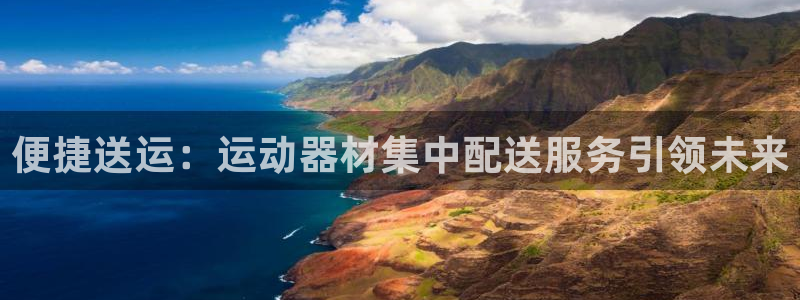 风速体育官方正版app集团：便捷送运：运动器材集中配送服务引