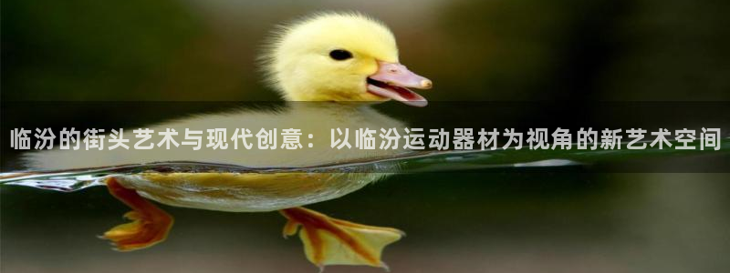 风速体育官网下载招商电话是多少啊：临汾的街头艺术与现代创意：
