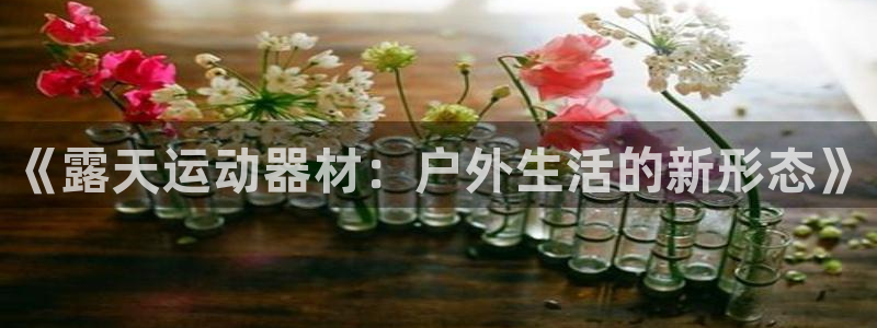 风速体育官网下载招商电话号码：《露天运动器材：户外生活的新形