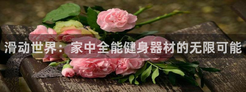 风速体育官网下载平台：滑动世界：家中全能健身器材的无