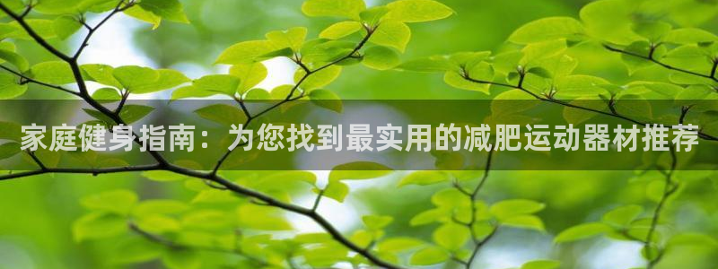 风速体育官方正版app集团官网首页：家庭健身指南：为您找到最